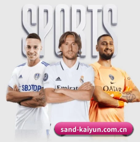开云 APP 界面（kaiyun）